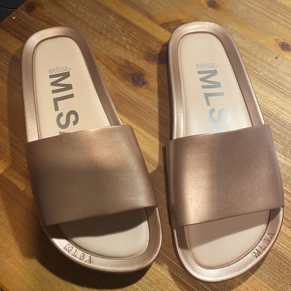 Melissa Slides